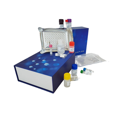 小鼠Elisa试剂盒