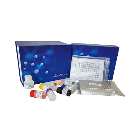 大鼠ELISA试剂盒