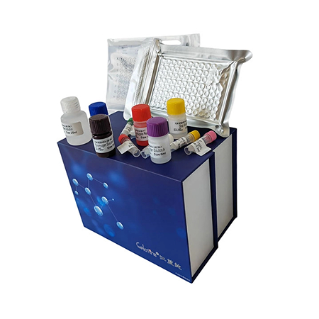 小鼠 Elisa试剂盒