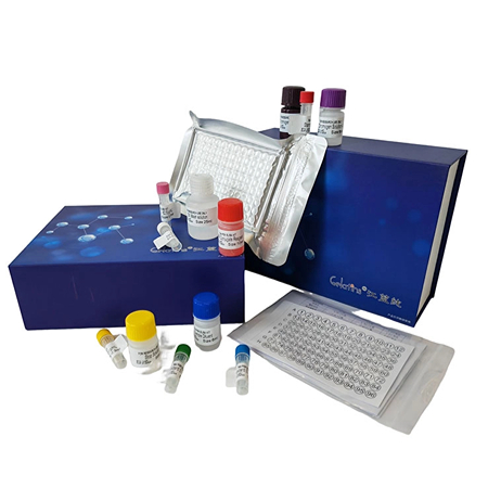 生化试剂盒